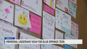 Mom who lost daughter to suicide hopes her message will save lives