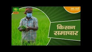 Kisan Samachar: Latest News of Agriculture | DD Kisan | September 03, 2026
