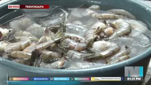 Pescado fresco, seco y camarones: Precios de maricos en Feria del Agricultor previo a Semana Santa