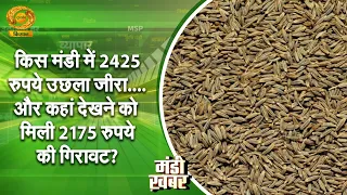 Mandi Khabar: Which Market Saw Cumin Prices Jump by ₹2425? Where Did They Drop by ₹2175? | DD Kis...