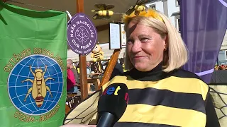 Regionalno, Maribor: Od lokalnih pridelkov do chefske malice na prostem