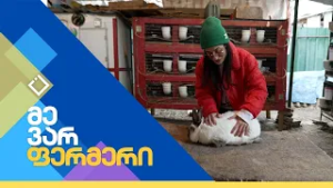 მებოცვრეობა | მე ვარ ფერმერი | 03.03.2026