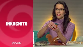 Plstiarka (INKOGNITO)