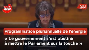 Programmation pluriannuelle de l’énergie : débat au Sénat