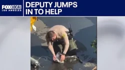 LA County deputy saves cat from burning van