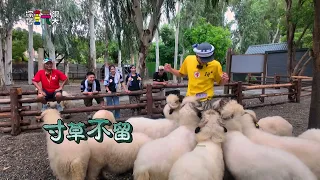 必勝宣言篇【綜藝玩很大】EP594 精采預告 20261003
