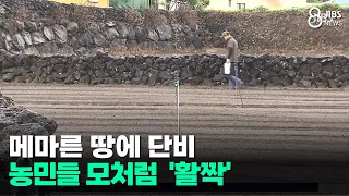 Much-needed rain on parched land... Farmers finally 'brighten up'