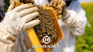 Pčelari u strahu zbog suše: hoće li zajednice dočekati proljeće? | Dnevnik Nove TV