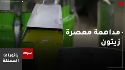 وزارة الزراعة : حادثة الغش في زيت الزيتون بإربد فردية ولا تعكس جودة الزيت الأردني وتميزه