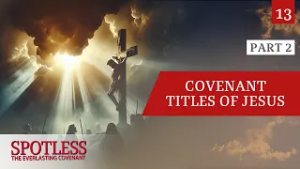 “The Big Reveal—Part Two” - Spotless 13