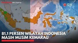 81,1 Persen Wilayah Indonesia Masih Musim Kemarau | IDXC UPDATE