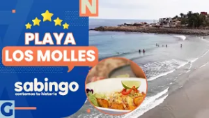 BUCEO, COMIDA Y MAR: ¿Qué hacer en la playa Los Molles? - Sabingo | De playa en playa