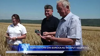 Farmers in Soroca have begun the harvest