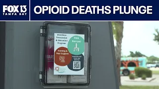 Opioid deaths plunge in Manatee County — Here's why