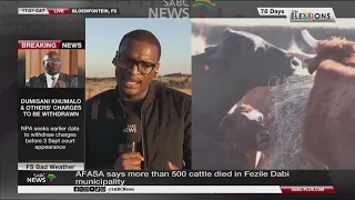 Agriculture dept visits the Free State to assess damage following severe weather: Kamohelo Tsotetsi