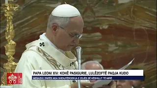 Papa Leoni XIV Kohë pasigurie, lulëzoftë paqja kudo