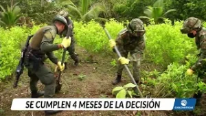 ¿Qué ha pasado tras 4 meses de la descertificación de EEUU a Colombia?