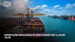 Brazilian agribusiness exports reach $16.3 billion in July