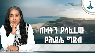 ታላቁ የኢትዮጵያ ሕዳሴ ግድብ፤ ከግድብነትና ፕሮጀክትነት ባሻገር የሀገራዊ ትንሣኤና ድል የማድረግ ማሳያ | GERD | Abay River | Ethiopia |