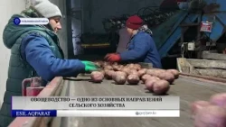 Vegetable farming is a key area of agriculture