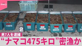 【男7人を逮捕】“ナマコ475キロ”密漁か  北海道・小樽市