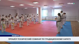 Technical seminar on traditional karate held