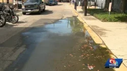 Road Patrol: Potholes and pitfalls on Palm Street in New Orleans