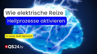 When the Brain Heals: How SOZO Therapy Regenerates the Nervous System | Natural Medicine | QS24