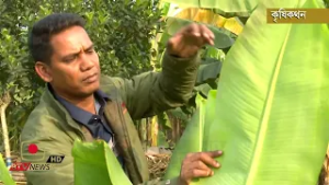 সফল কৃষক সোহেল রানার সফল হওয়ার গল্প