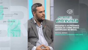 MAYCHEL BORGES - TERRAVIVA ENTREVISTA