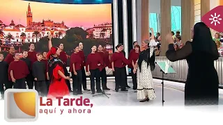 The Afternoon, Here and Now | The Orfeón de Sevilla Youth Choir performs "Hotaru Koi"