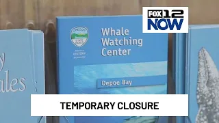 Whale Watching Center in Depot Bay temporarily closing for repairs