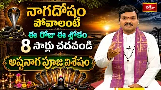 నాగదోషం పోవాలంటే ఈరోజు ఈ శ్లోకం 8 సార్లు చదవండి అష్టనాగ పూజ విశేషం | Mantrabalam | Bhakthi TV