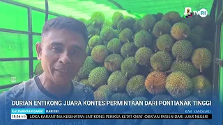 JULY 9, 2026 ENTIKONG DURIAN WINS CONTEST, HIGH DEMAND FROM PONTIANAK