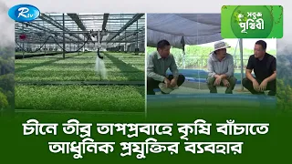 চীনে তীব্র তাপপ্রবাহে কৃষি বাঁচাতে আধুনিক প্রযুক্তির ব্যবহার | Sobuj Prithibe | Rtv