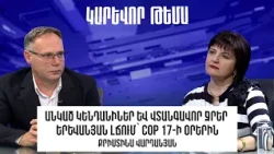 Անկած կենդանիներ և վտանգավոր ջրեր Երևանյան լճում՝ COP 17-ի օրերին․ Քրիստինա Վարդանյան