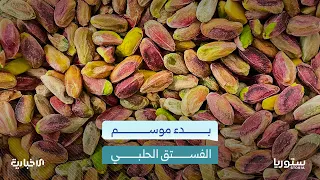 Why is Aleppo pistachio associated with the city of Aleppo when the pistachio orchards are concen...