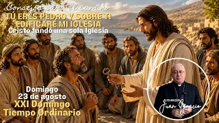 You are Peter and upon you I will build my Church | Christ founded only one Church