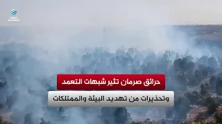 Surman forest fires raise suspicions of arson and spark warnings over threats to the environment ...