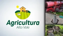 Agriculture Alto Vale – Ed. 24/10/2026