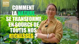 Sustainable Development: How Nature Becomes a Source of All Our Wealth?