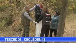 TeSzedd! – Cegléden is