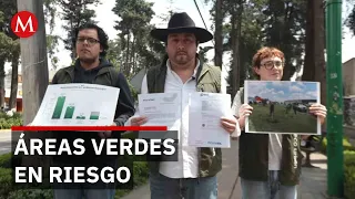Toluca to fell 60 trees on Paseo Colón; environmentalists question decision and demand transparency