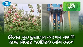 চীনের লুও ছুয়ানের আপেল রপ্তানি হচ্ছে বিশ্বের ২০টিরও বেশি দেশে | Sobuj Prithibe | Rtv