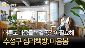 마음 테라피가 필요할 때 가보면 좋을 수성구 책방 ?  | 마음봄 [#띠비의동네책방]