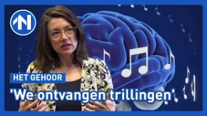Zenuwcellen in hersenen 'dansen' mee op ritme en klank