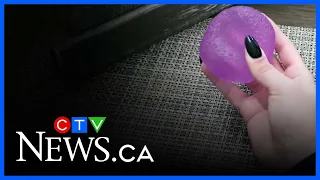 Amazon Canada removes viral dumpling toys after safety concerns raised