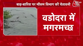 Weather Updates: Monsoon Rains Continue, Next 48 Hours Critical | Mumbai Rains | Top News