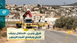 Video | East of Jenin: Land bulldozing and uprooting of olive trees!