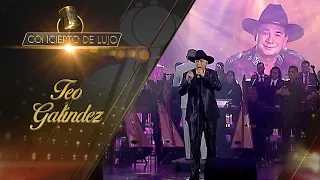 [Concierto De Lujo] – Teo Galíndez – Concierto Completo